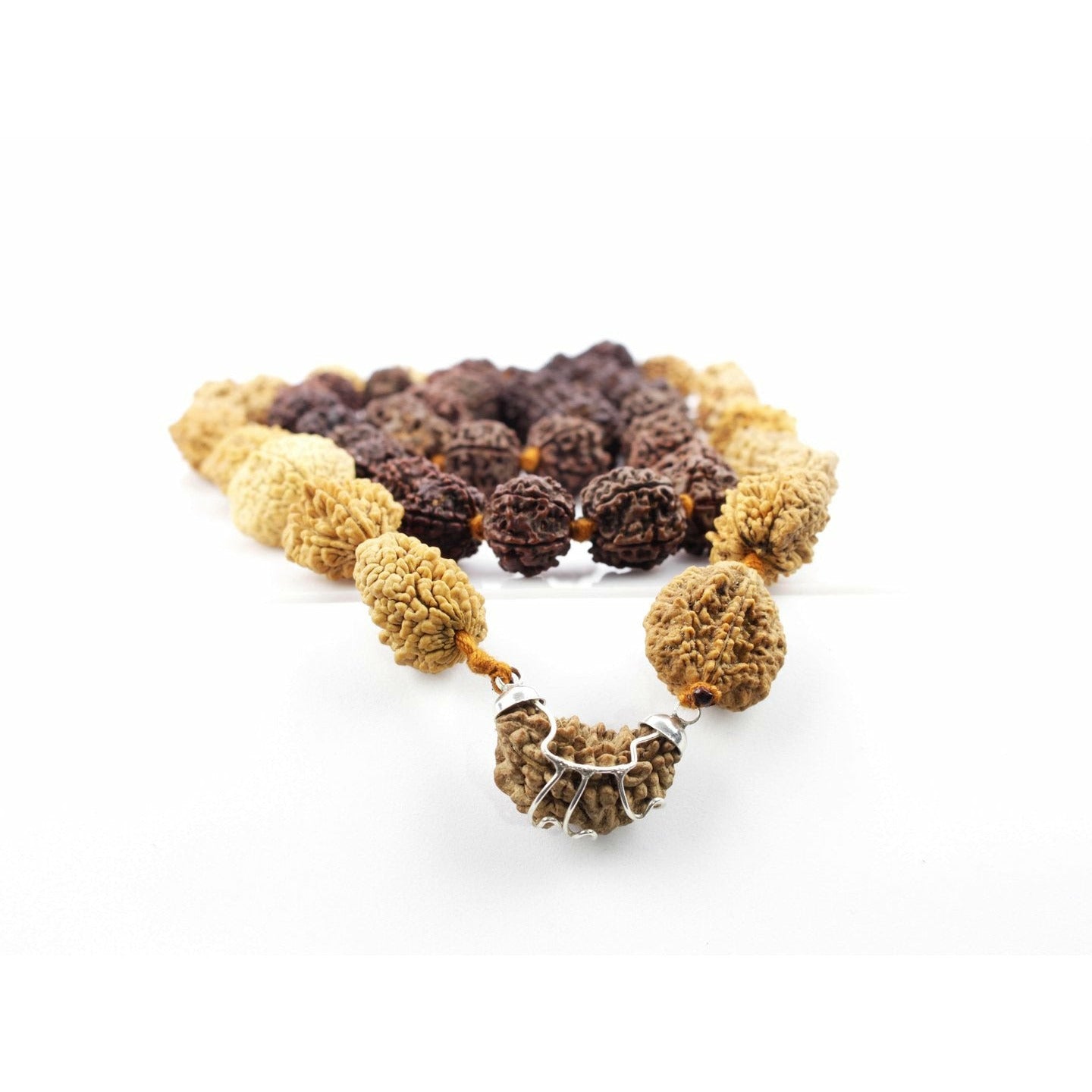 Siddha-Mala 1-6 Eyes Ruddraksha avec de l'argent (Népal)